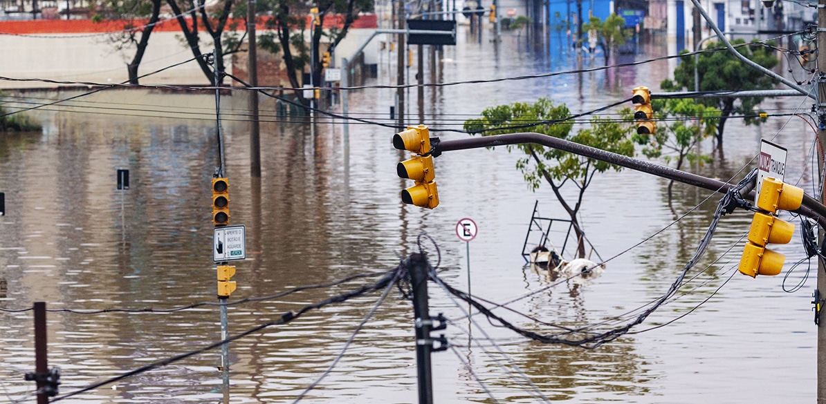 Diante a emergência, ação e solidariedade